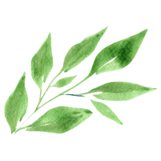 Watercolor Leaves