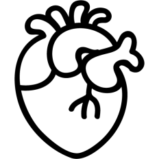 anatomical heart outline