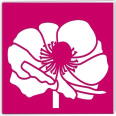 Anemone Flower Greetings Card