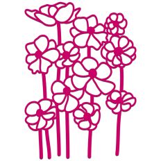Anemone Flowers