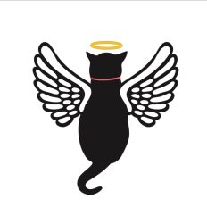 Angel Cat