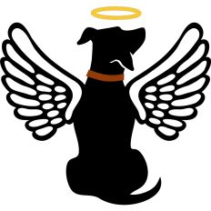Angel Dog 