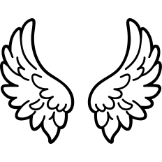 angel wings
