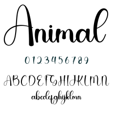 Animal