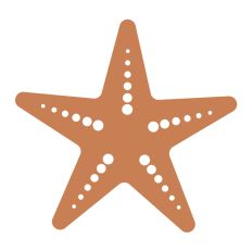 Sea Star