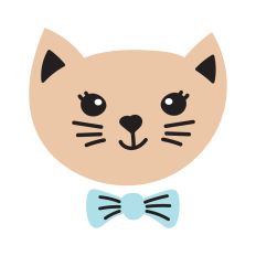 Cute kitten face