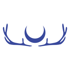 Antlers and Moon