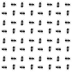 Ants Pattern