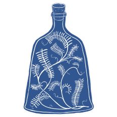 Apothecary Bottle 5 Blue Woodblock Art Print and Cut