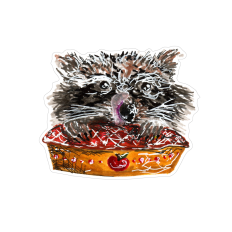 Apple Pie Raccoon