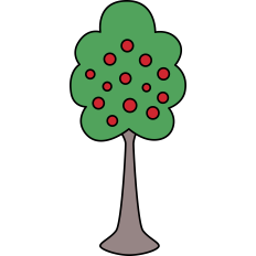 Apple Tree