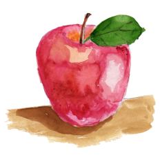 Watercolor Apple Sticker