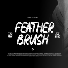 Feather brush