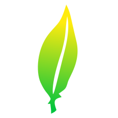 Ombre Green Feather