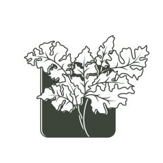 Botanical Flower
