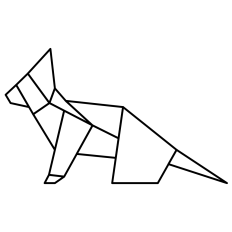 Geometric Cat