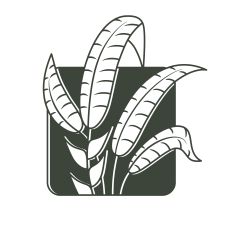 Botanical Flower