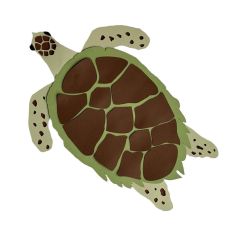 Hawksbill Sea Turtle