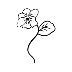 Stick Pansy