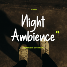 Night Ambience