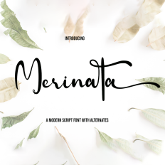 Merinata font