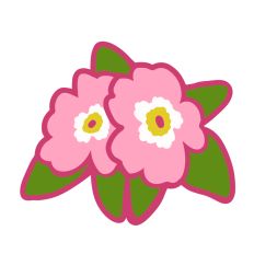 Passion Pink Flower