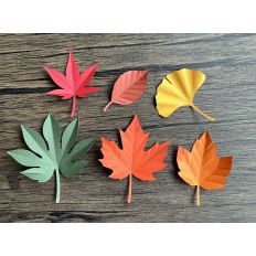 Autumn leaves