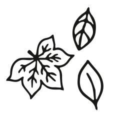 Doodle Autumn Leaves