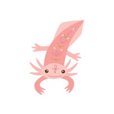 Axolotl