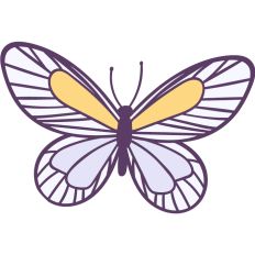 Purple Butterfly 