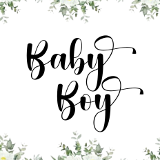 Baby Boy Font