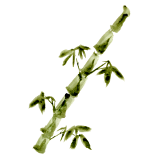 Watercolor Bamboo