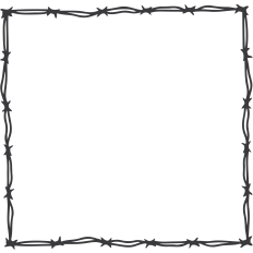 Barbed Wire Frame