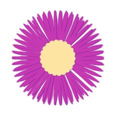 Angled Pigface Flower Regular Cut