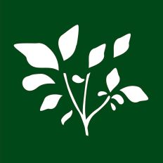 Branch with leaves Stencil