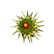 Spiky Flower A4 Print and Cut