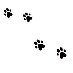Cat Paw Print Stencil