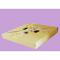 3D Envelope Box