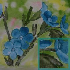 Forget Me Not Watercolour Pattern