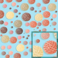 Globe Thistle Blue Pattern