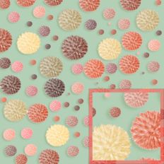 Globe Thistle Green Pattern