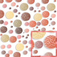 Globe Thistle White Pattern
