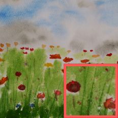 Meadow Flowers Watercolour