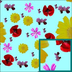 Mediterranean Spring Flowers