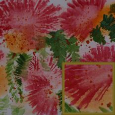 Pink Mimosa Watercolour