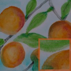 Watercolour Oranges and Leaves