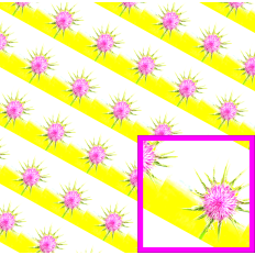 Thistle Pattern