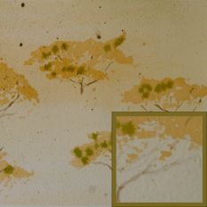 Trees in the Mist Watercolour