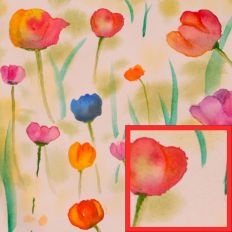 Watercolour Tulips