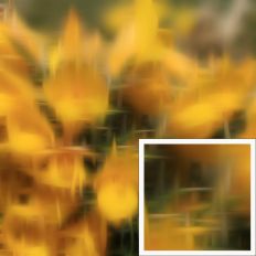 Abstract Ulex Background